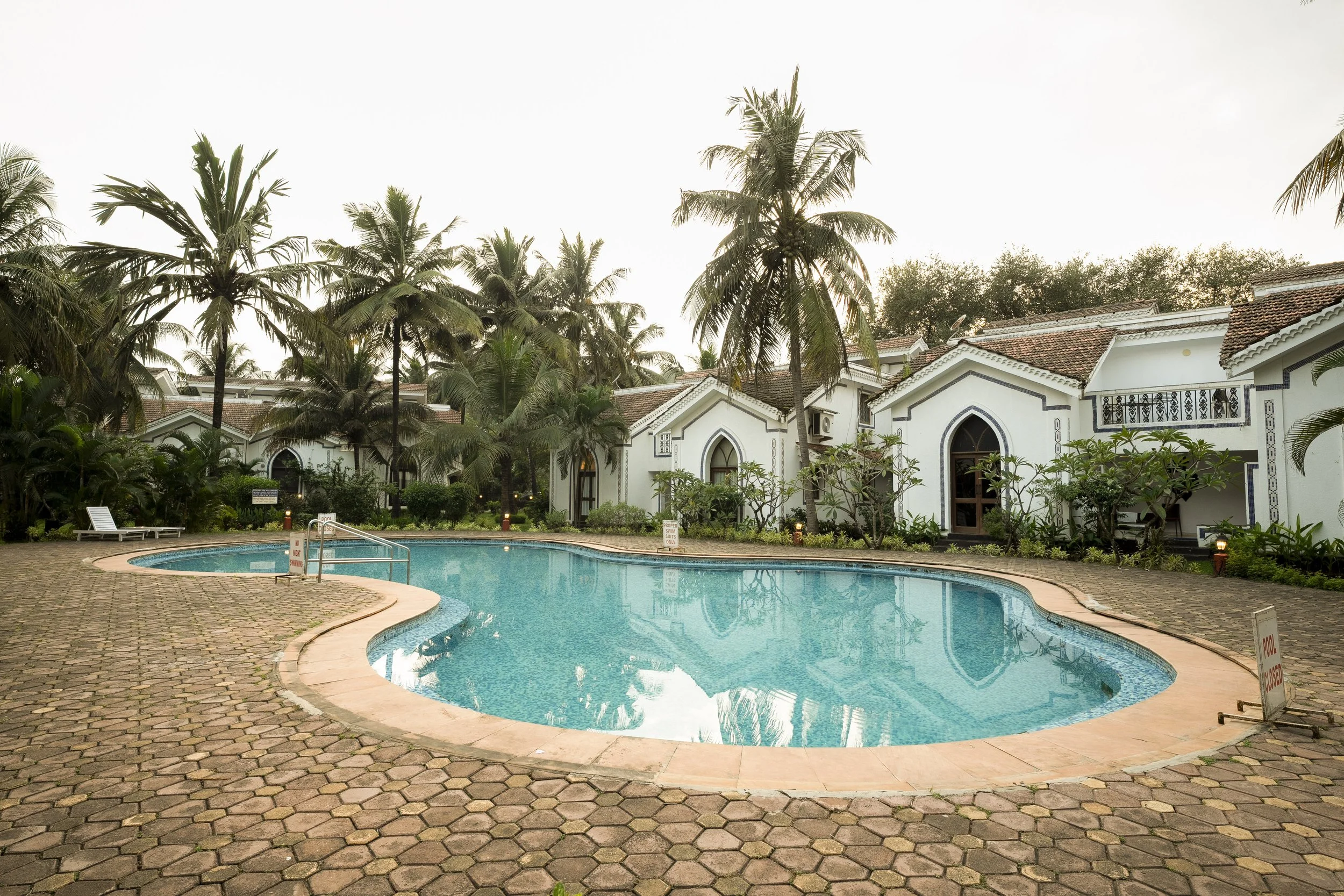 A swimming pool surrounded by brick paving, with white buildings, tall palm trees, and lush green plants in the background.