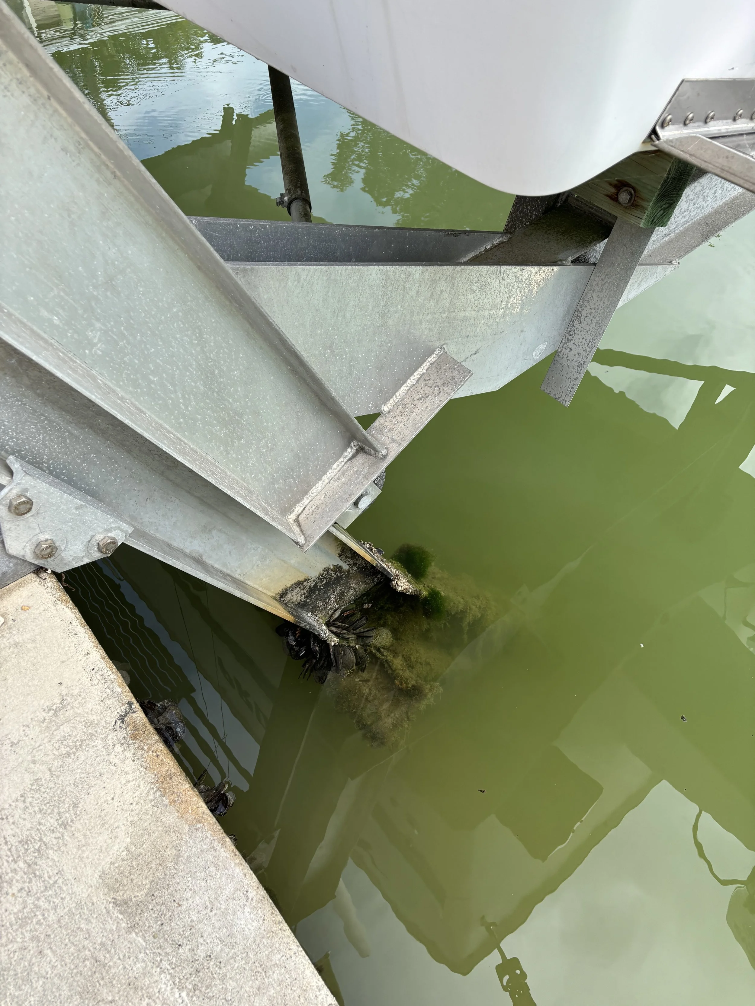 An unmaintained boat lift with heavy growth, preventing the boat from lowering.