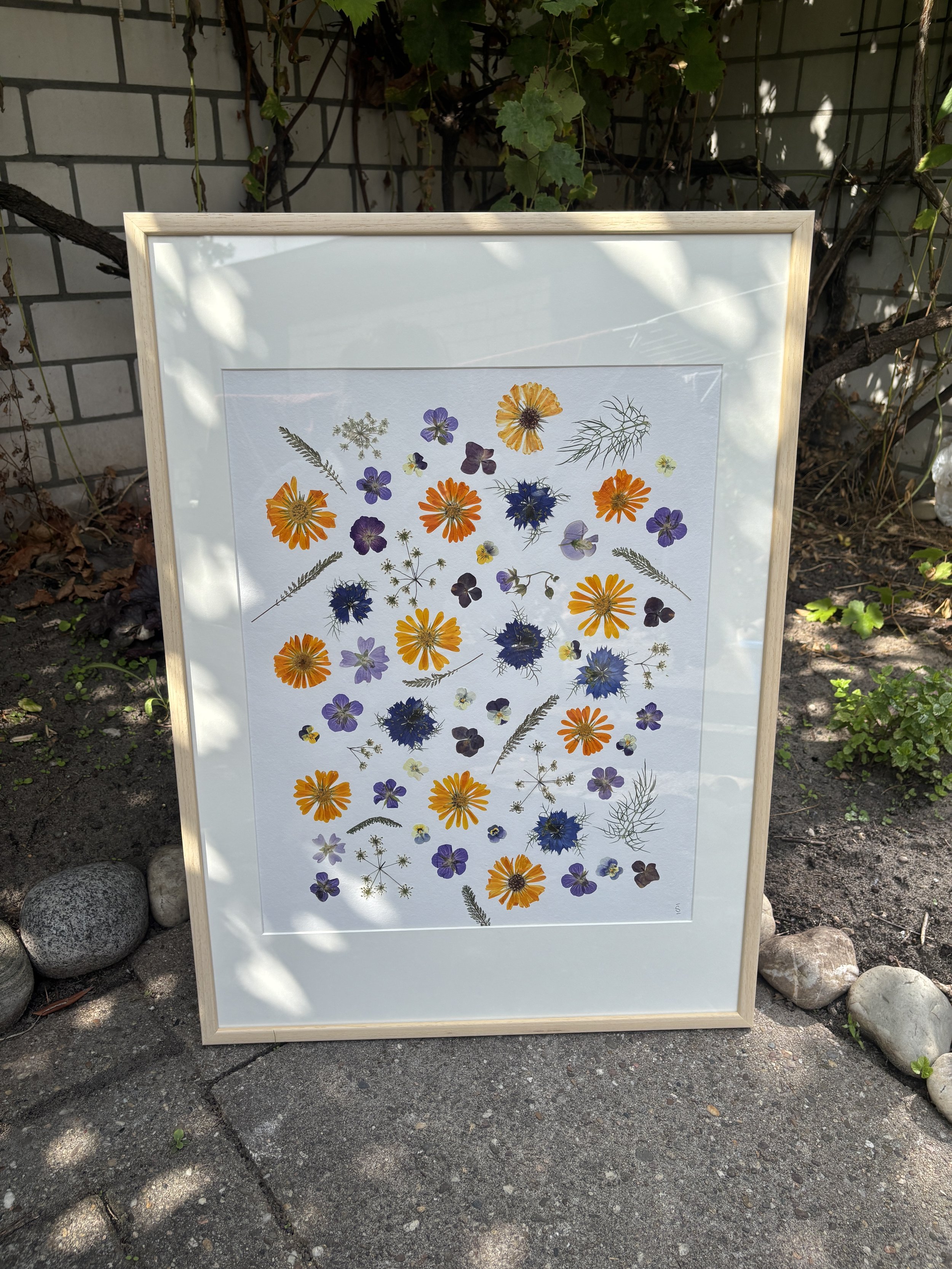 Ein Bilderrahmen mit getrockneten Blumen und Pflanzen, als Naturkunstwerk oder Collage, im Freien im Garten mit Steinen und Pflanzen im Hintergrund.