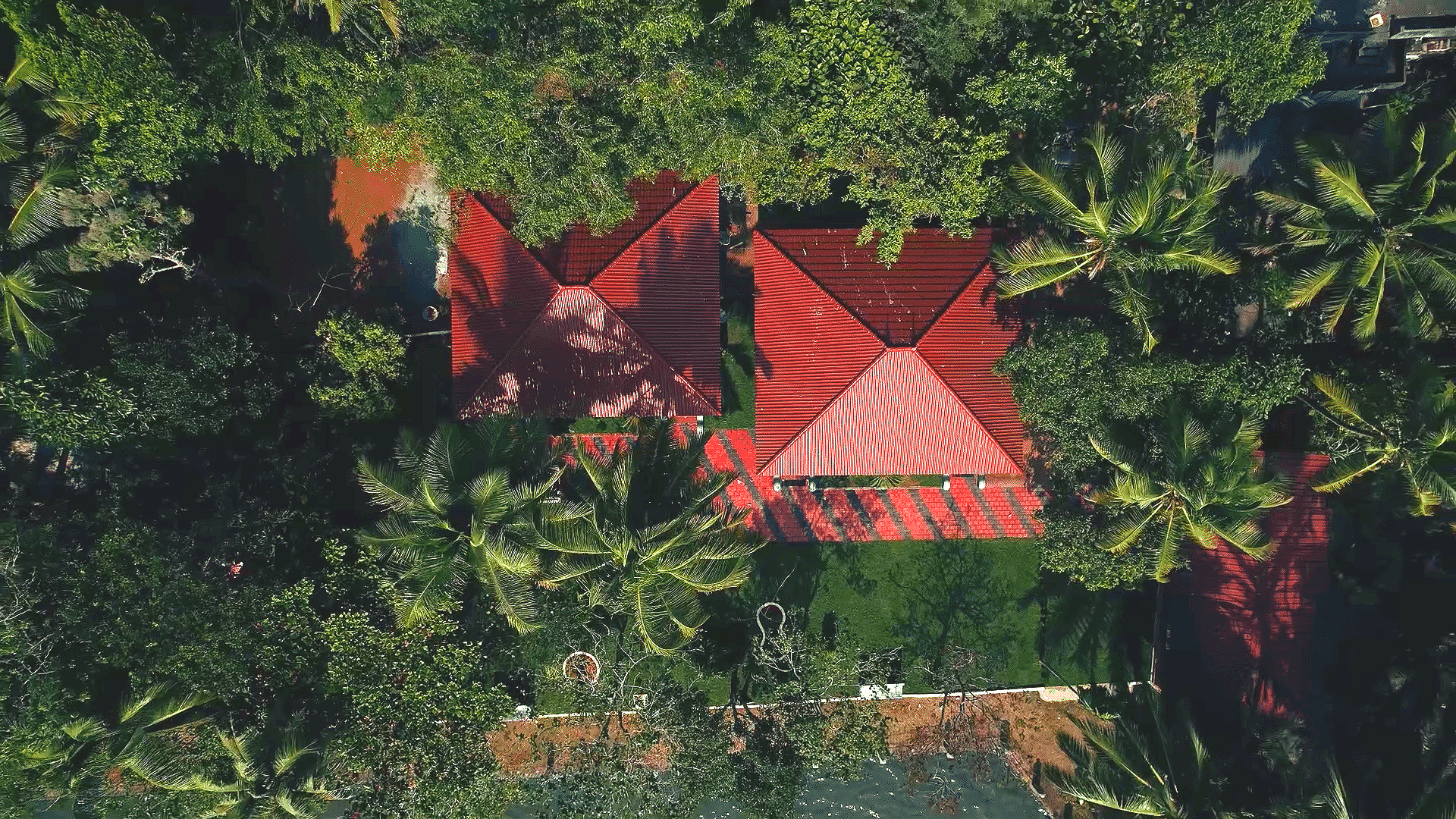 top_1.1.1.png
