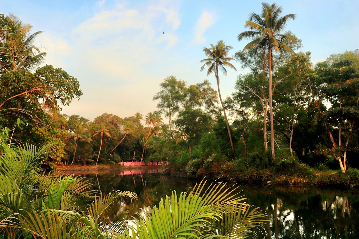 property-river-view.jpg