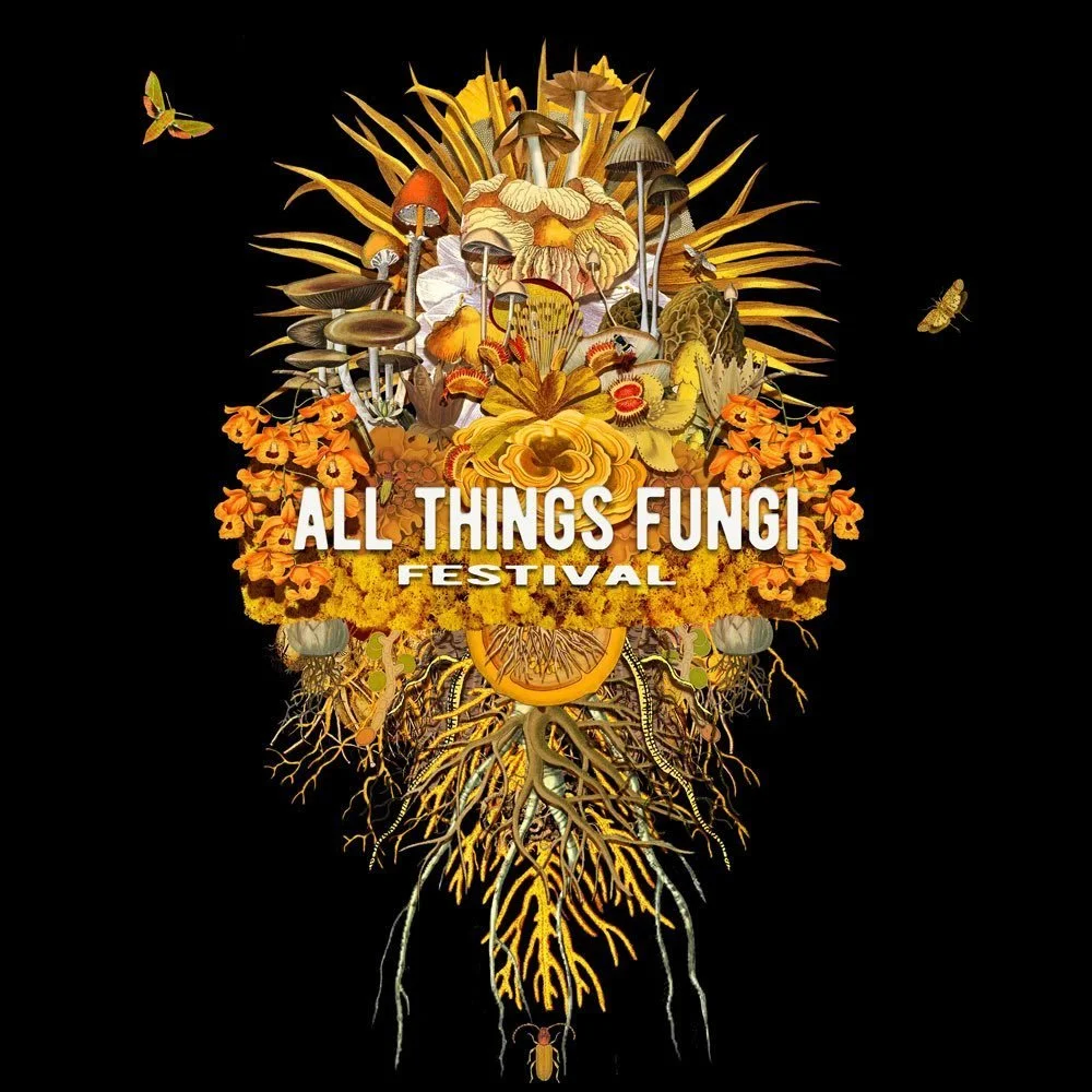 All Things Fungi 