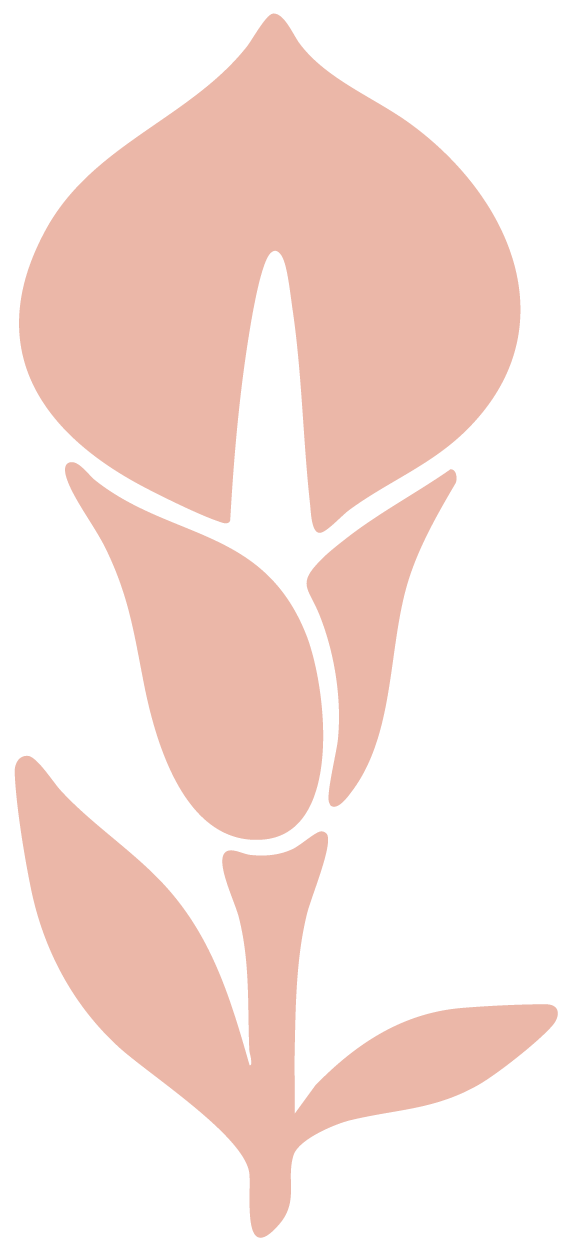 Illustration minimaliste d'une fleur stylisée rose avec des feuilles