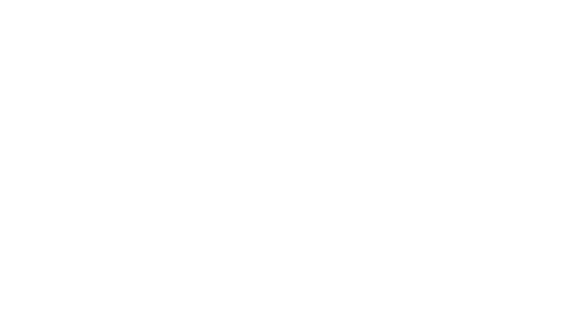 Sentry Aerospares