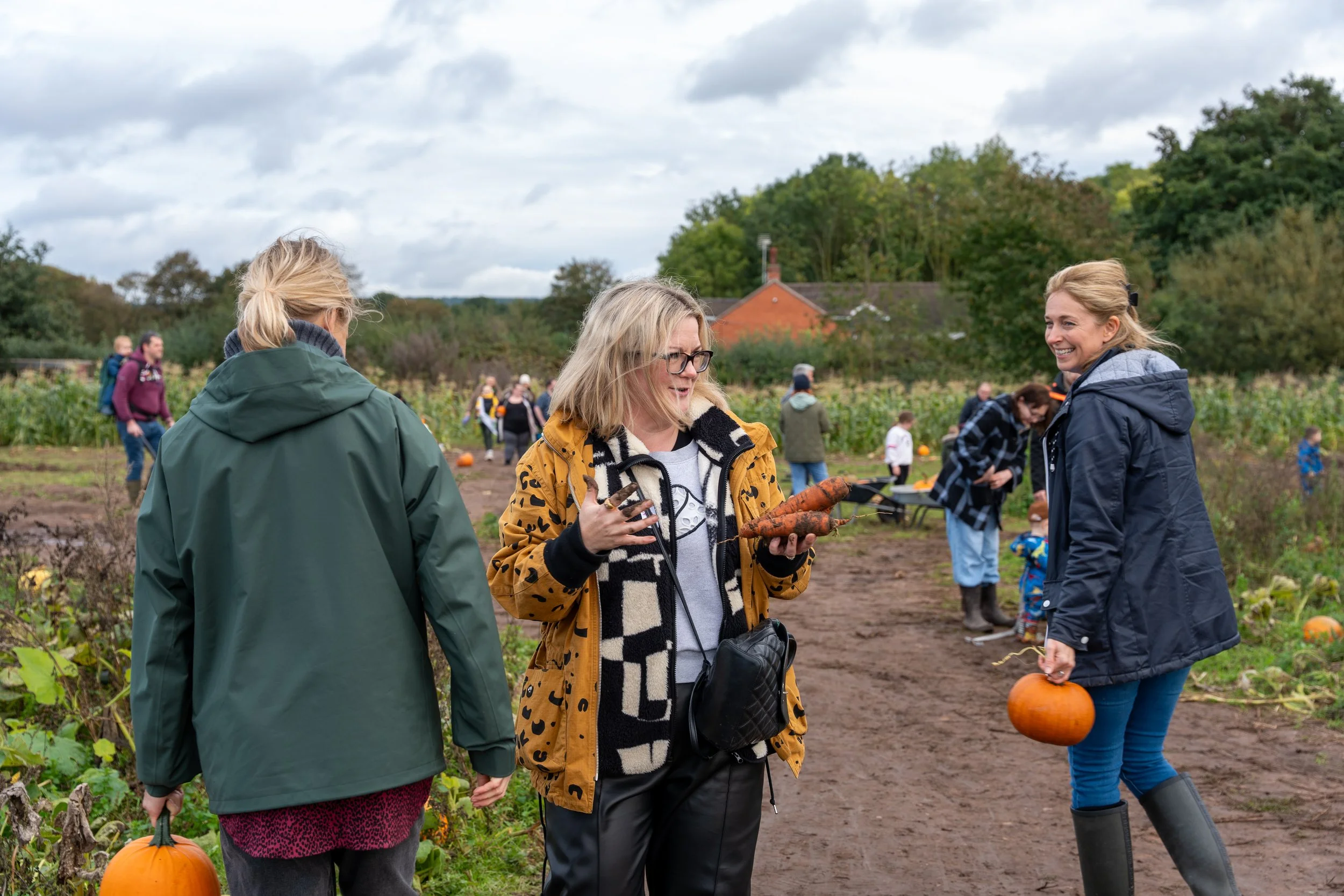 Chect Awards Pumpkin Picking Event