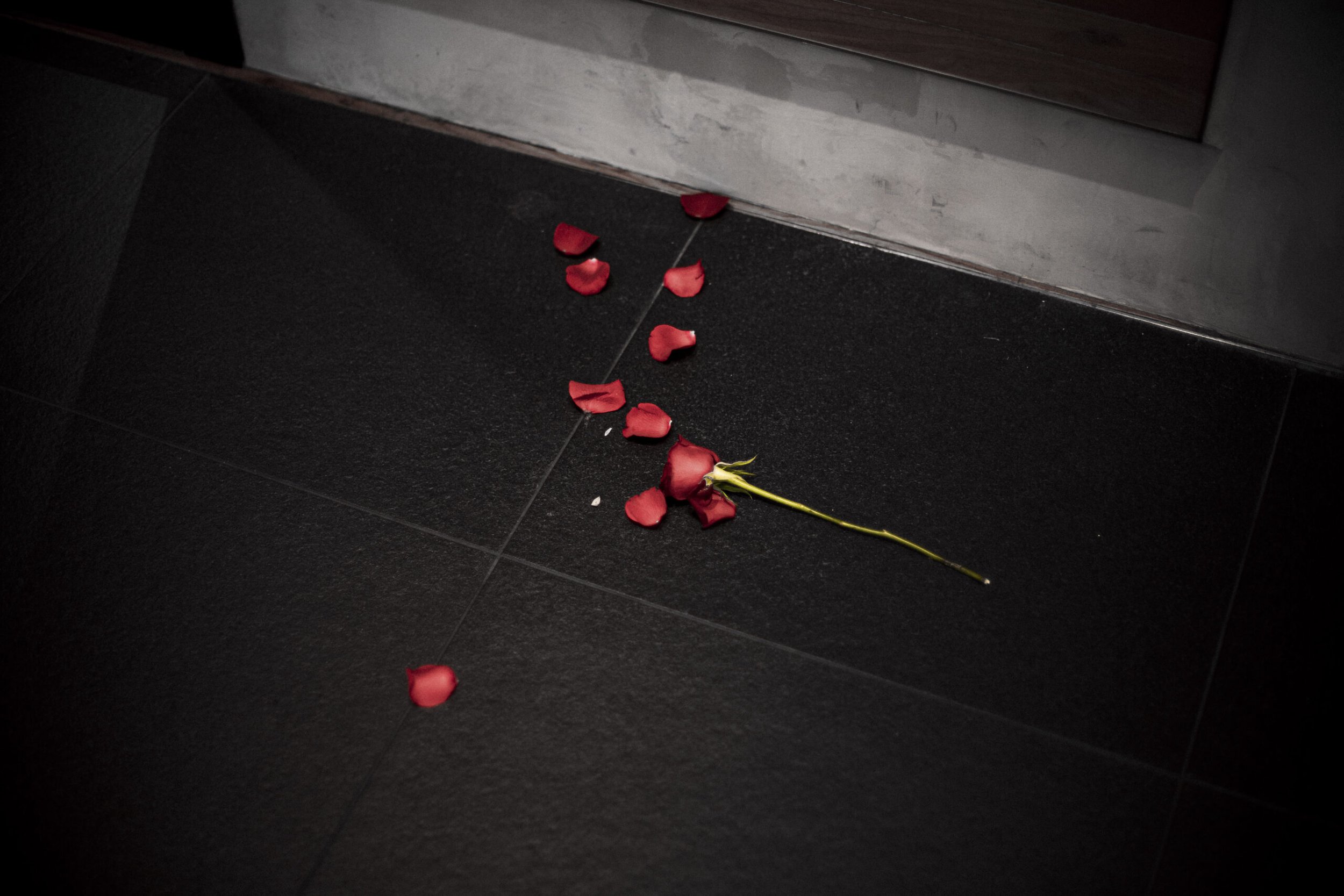 黒い床と壁の隙間に落ちている赤いバラの花びらと茎