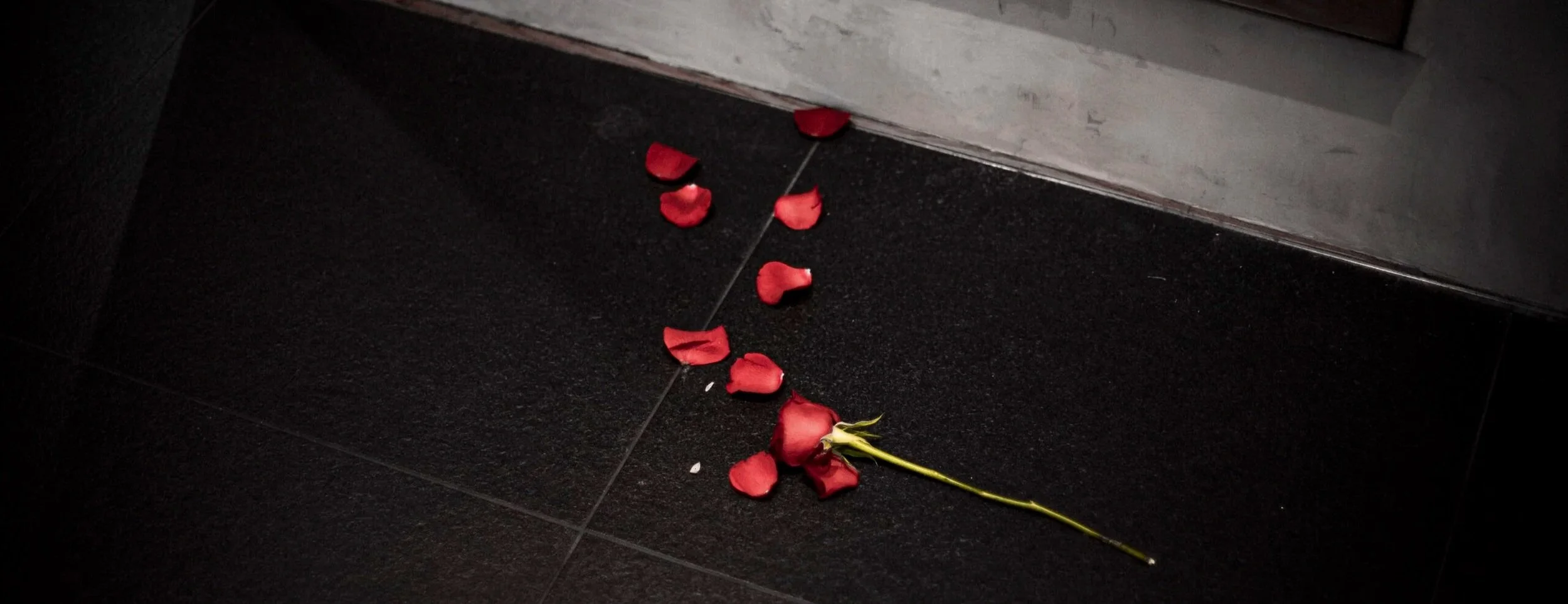 黒い床に落ちた赤いバラの花と花弁