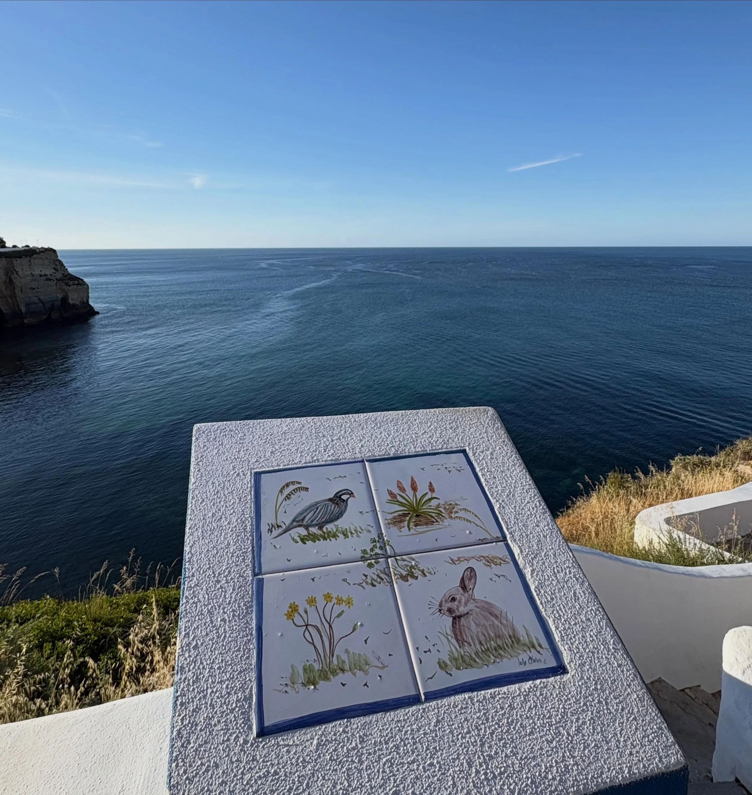 I was in the Algarve last month and stumbled across these beautiful illustrations lining the steps of a bay whilst out on an early morning run. I couldn&rsquo;t pick a fave, they were all so gorgeous. I thought it was a beautiful and captivating way 