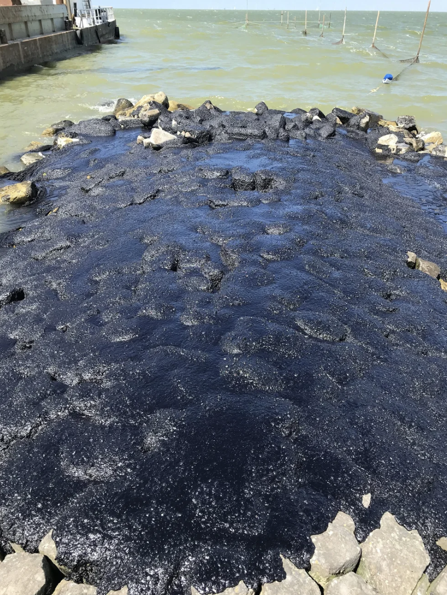 Een stuk waalstrand of kade met een laagje vers asfalt of teer dat wordt aangebracht, met omringende stenen en water op de achtergrond.