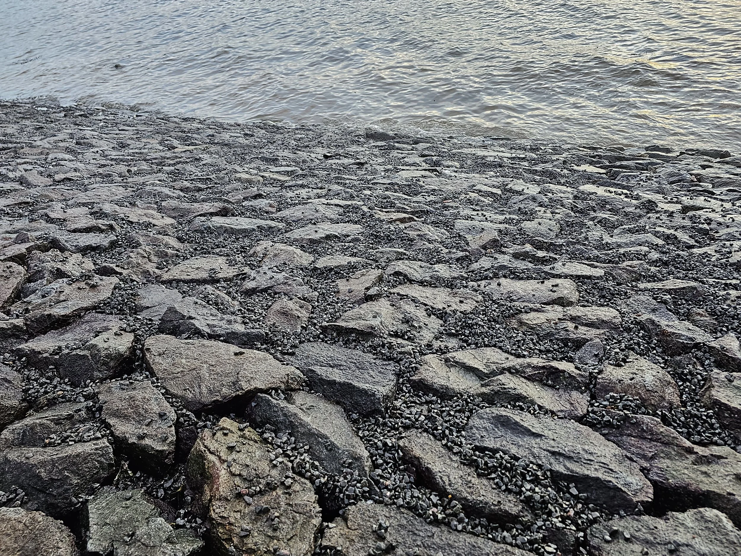 Elastocoast