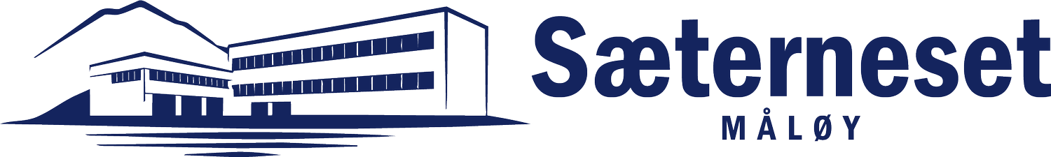 Sæterneset