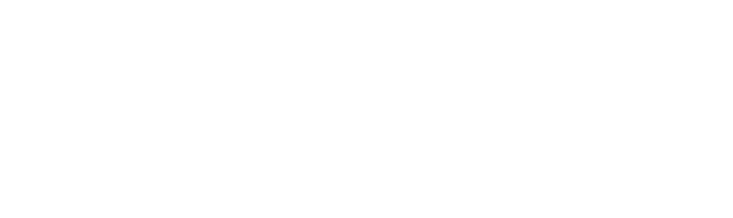 Bitbloom