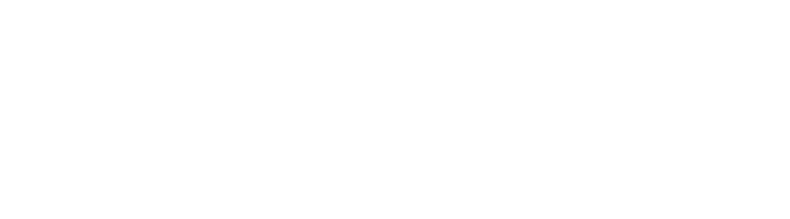 ZUBR