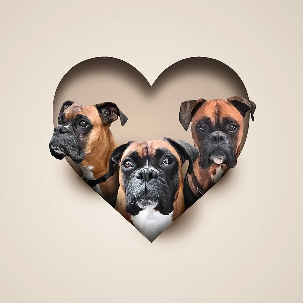 3 pet / people designs