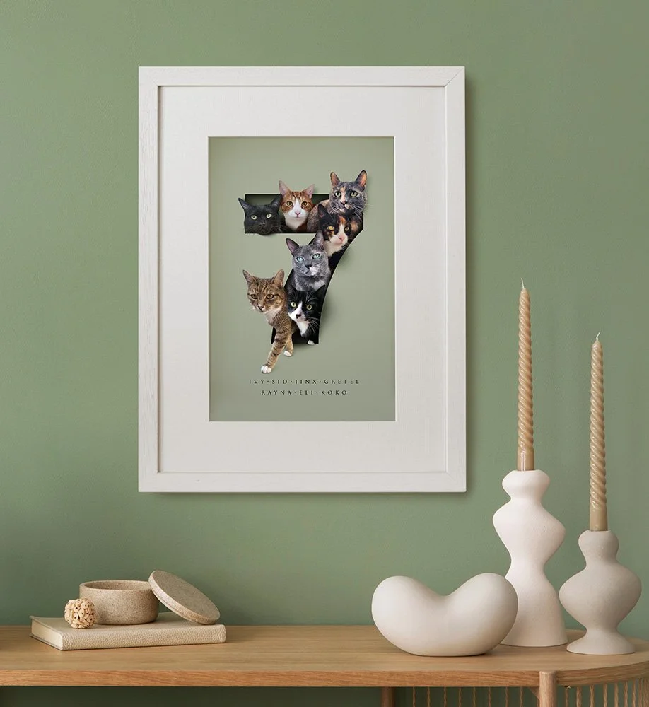 different cats posed in a cutout number 7