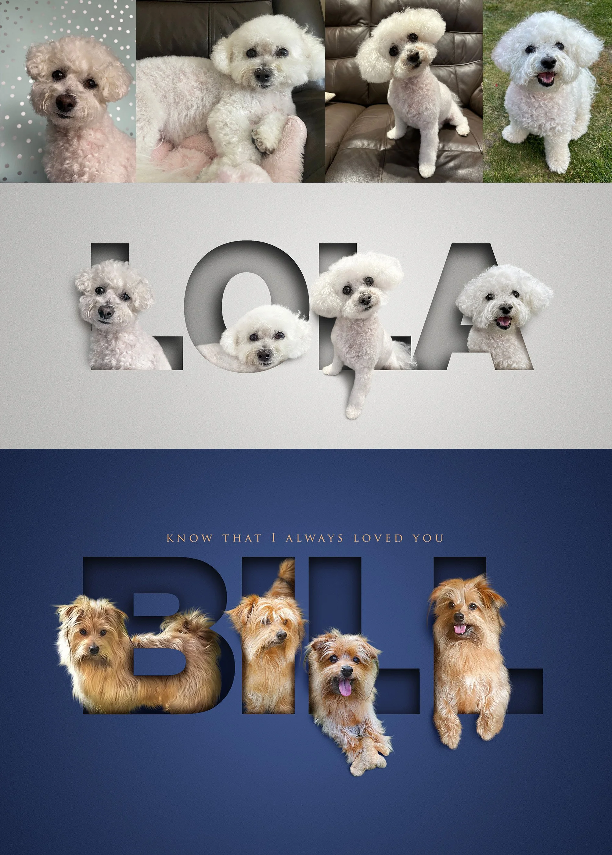 Examples of 4 pets in letter designs