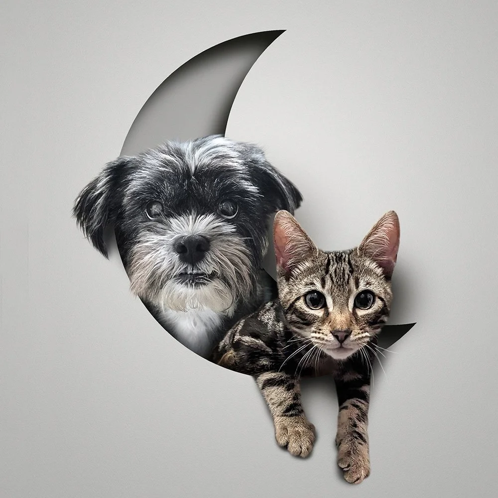 2 pet / people designs