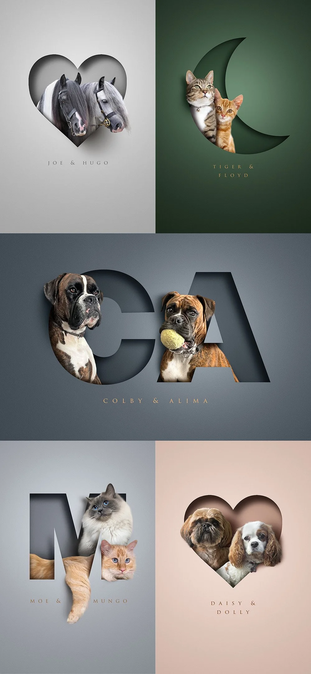 2 pet design examples.jpg