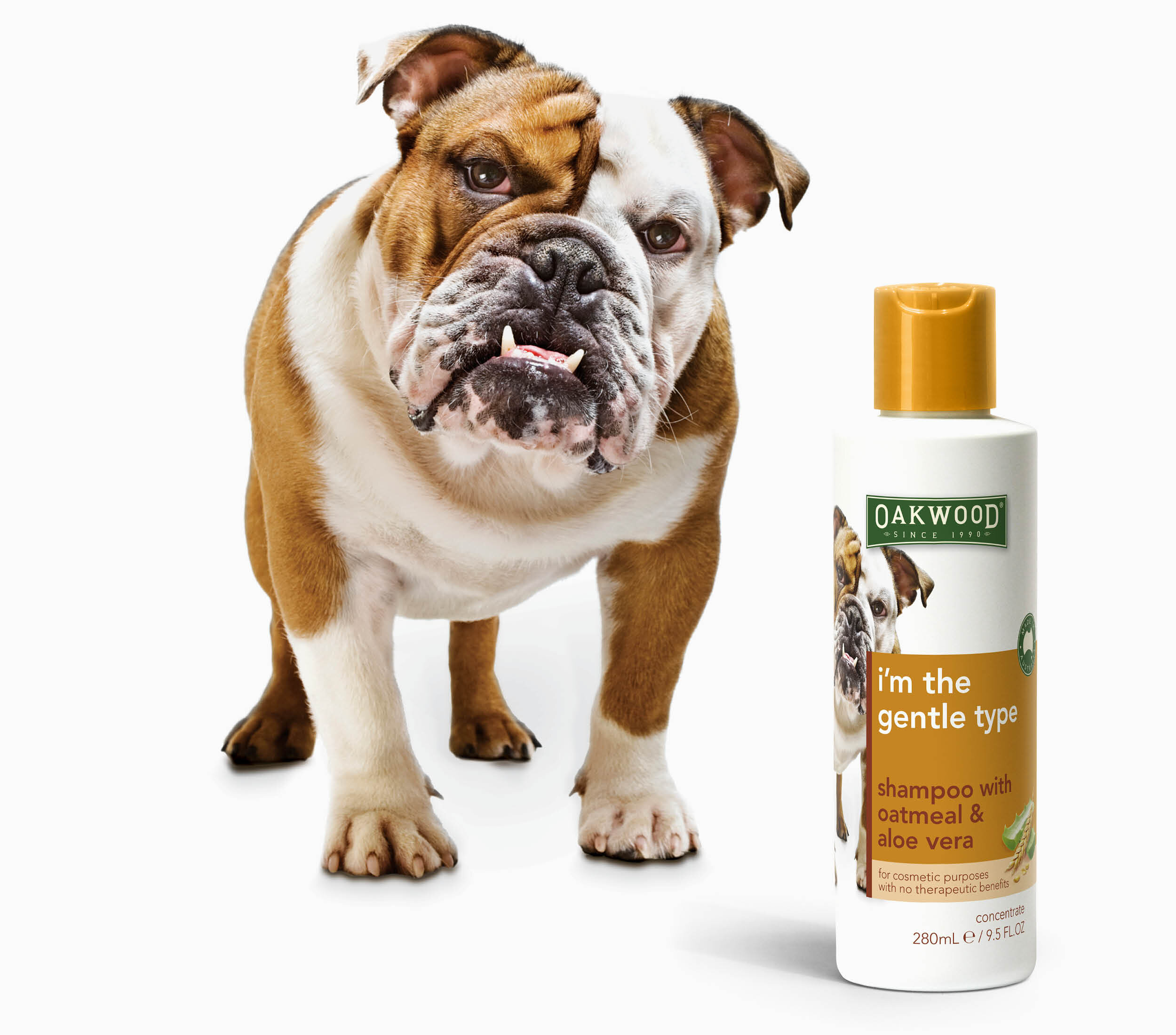 Oakwood Portfolio Bulldog Packaging.jpg