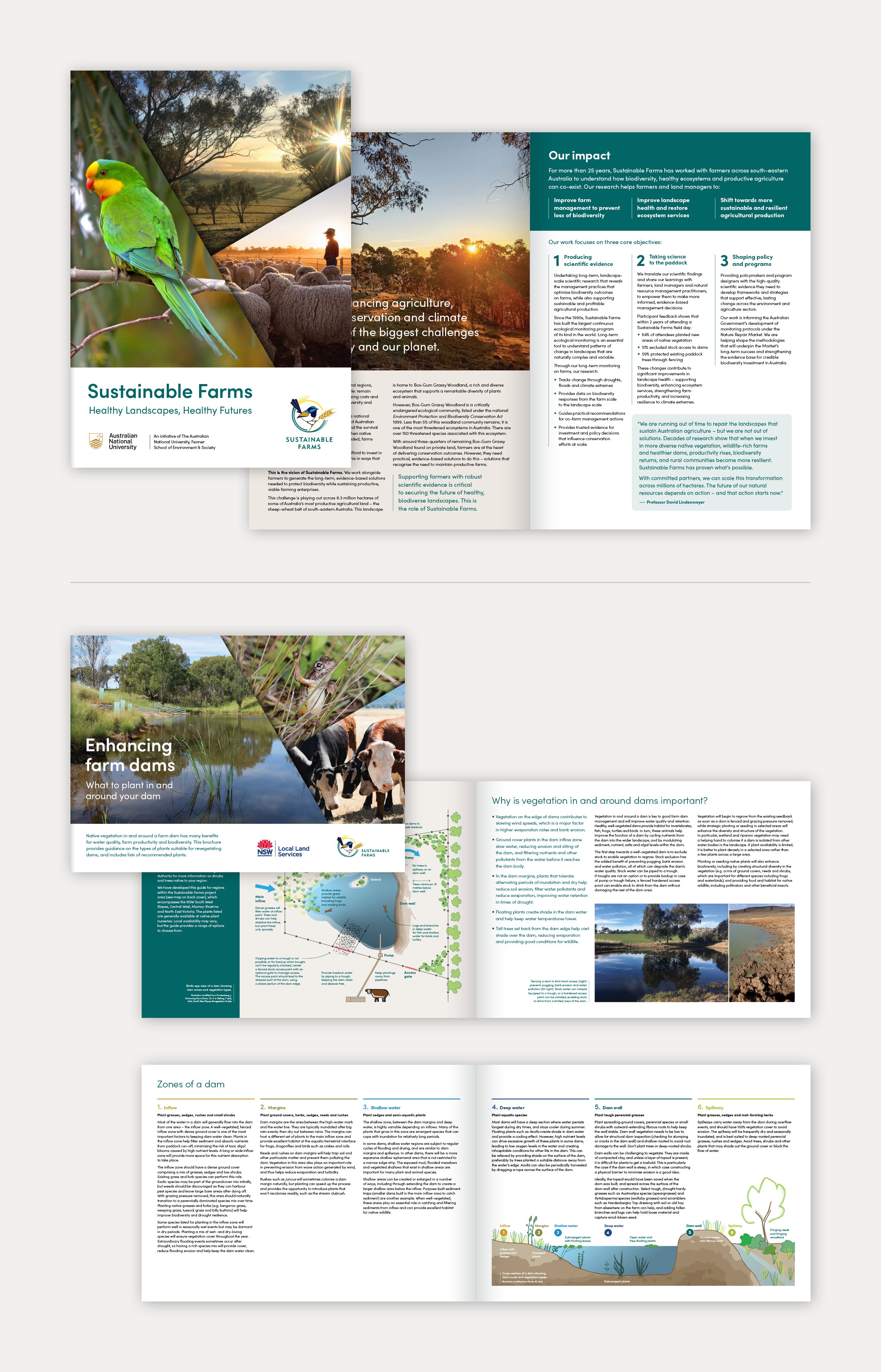SustainableFarms-6.jpg