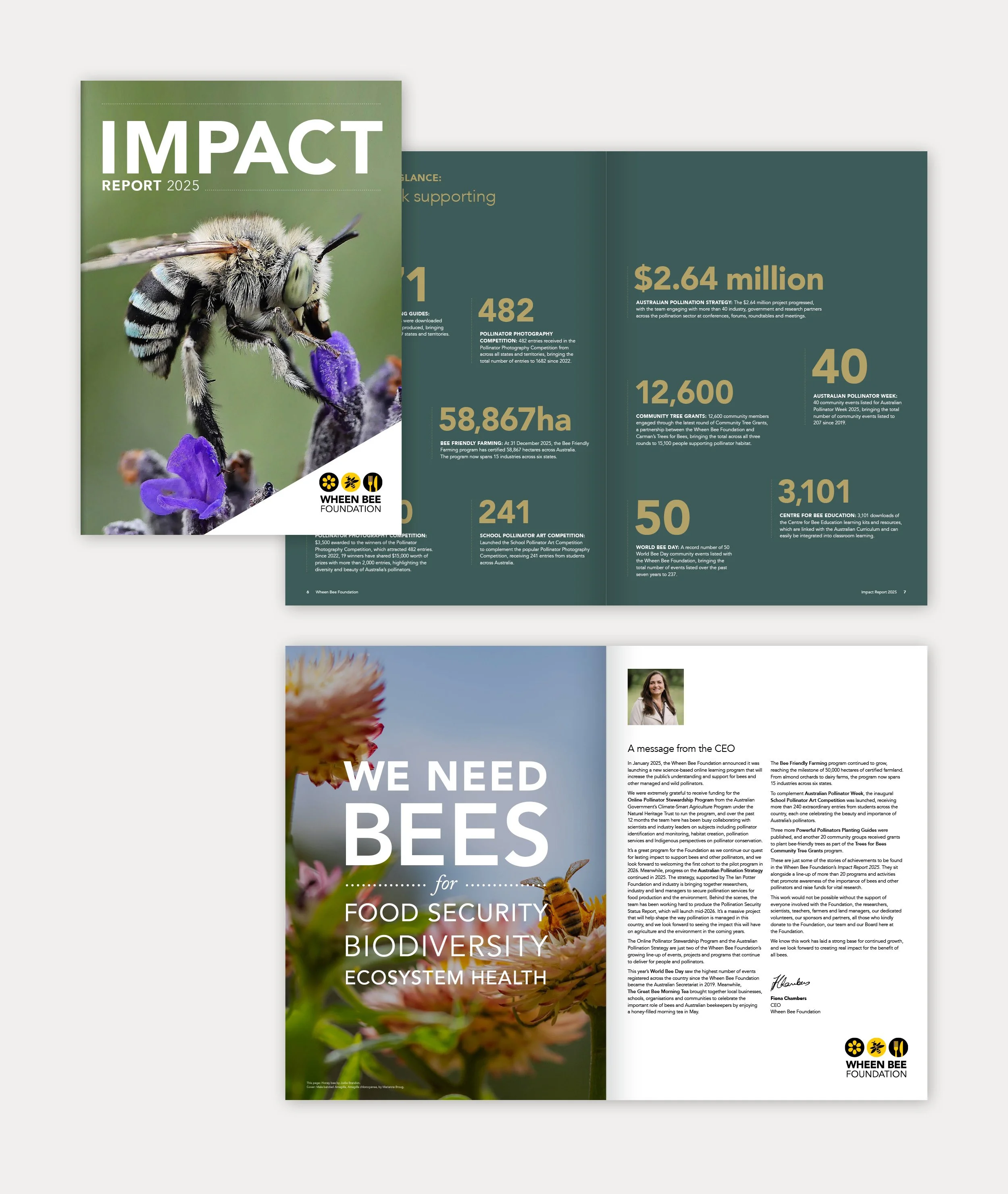 WheenBeeFoundation-3.jpg