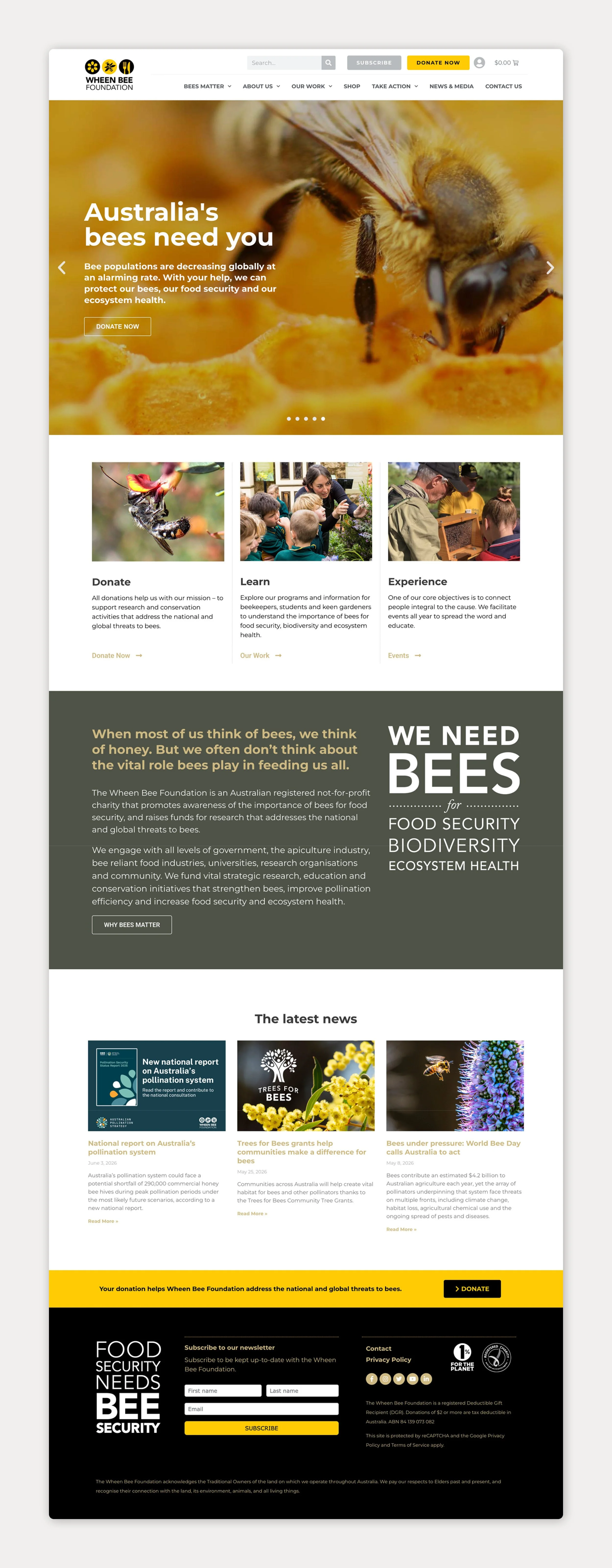 WheenBeeFoundation-2.jpg