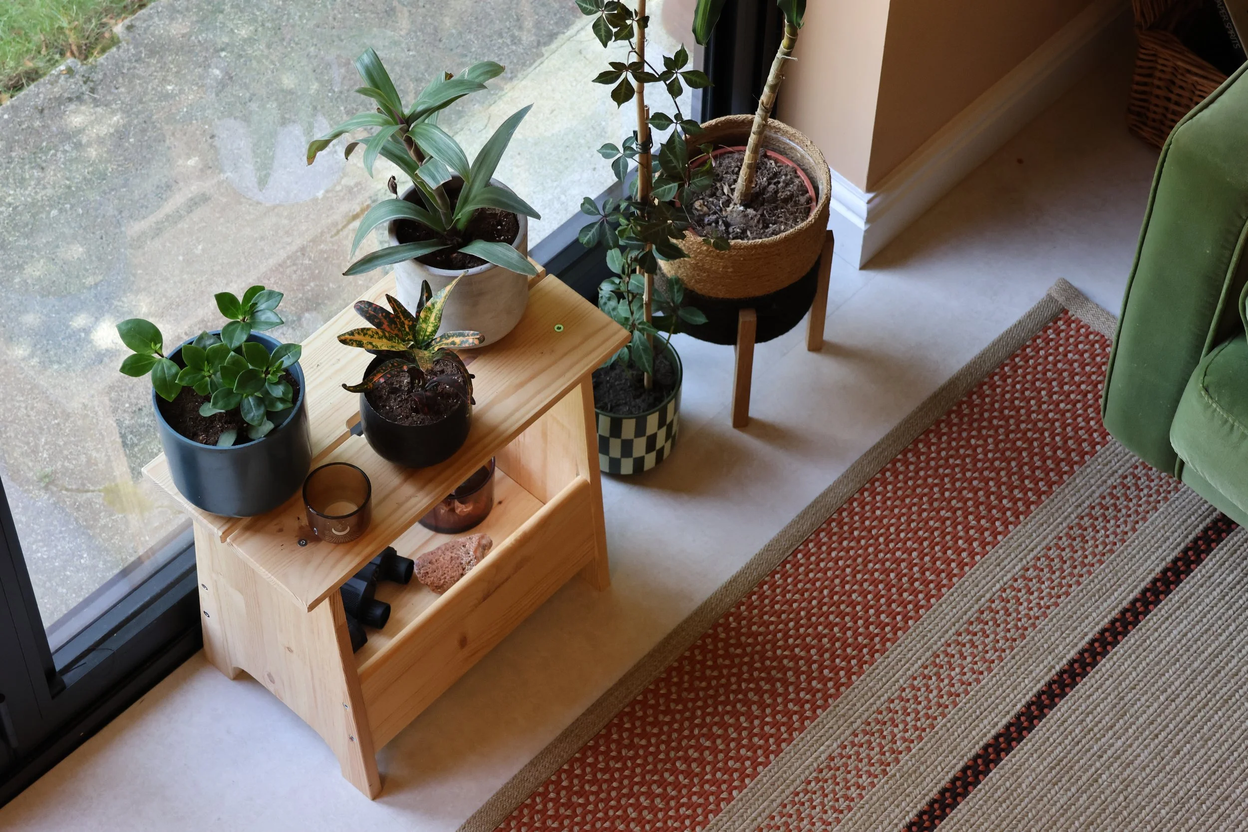 Green houseplants in the therapy room, Cedarwood Therapy
