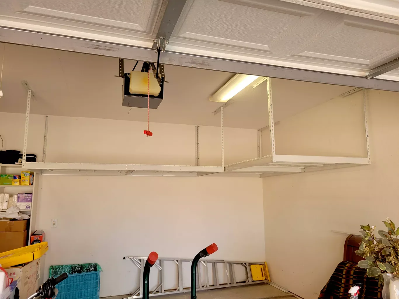 Empty garage with open garage door, a ladder and a plant on the right side.