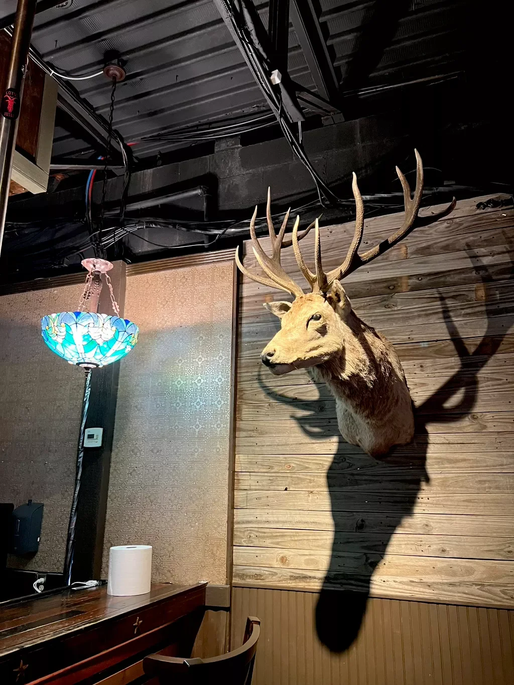 Deer head mounted on wooden wall with antlers extending outward, shadow cast on wall, hanging colorful stained glass lamp, paper towel roll on dark wood table, tiled wall and exposed ceiling with black pipes and wires.