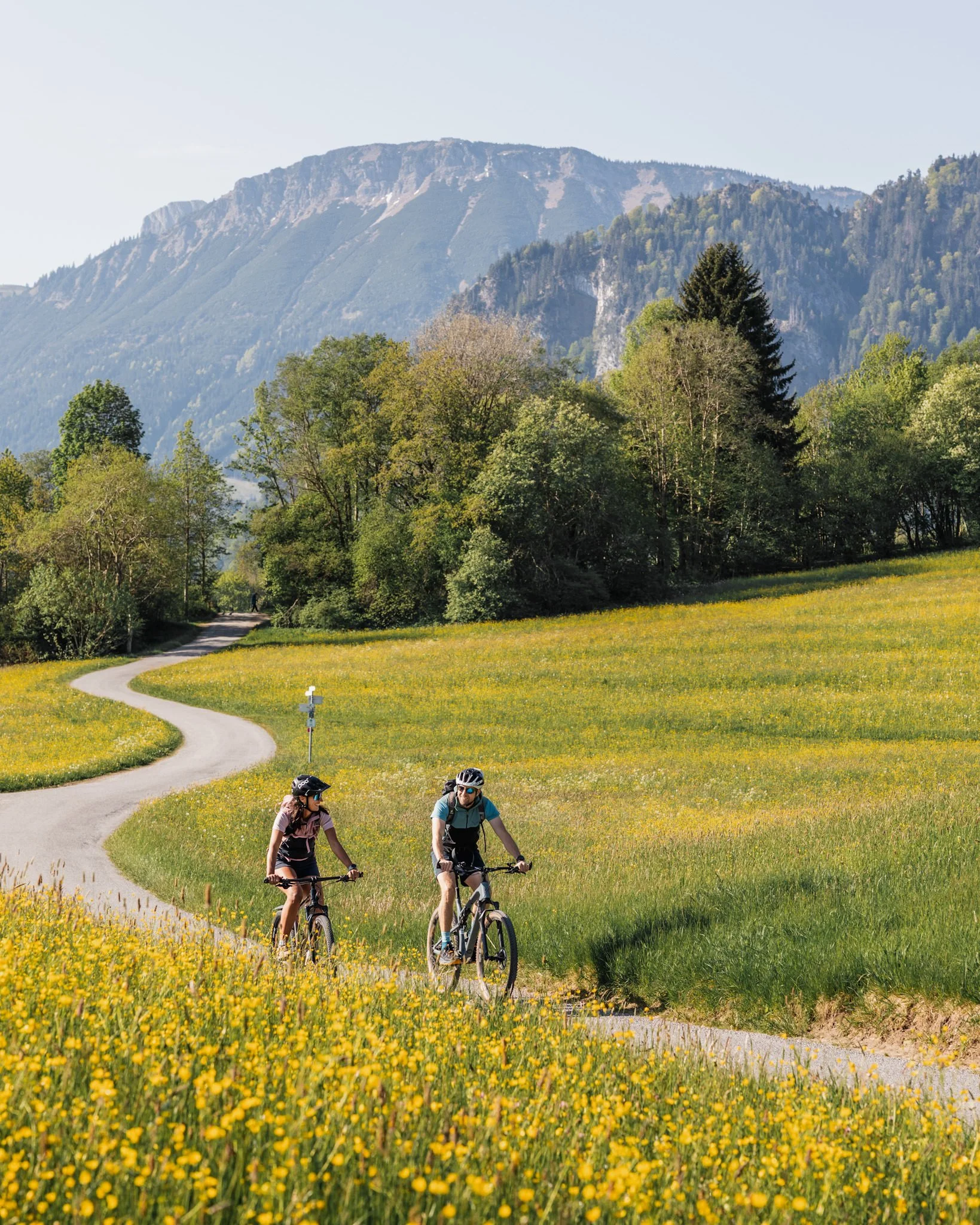 Zwei Fahrradfahrer, ein Mann und eine Frau, fahren auf einem geschwungenen Weg durch eine grüne Wiesenlandschaft mit vielen gelben Blumen, im Hintergrund sind Bäume und Berge. Es ist ein sonniger Tag.