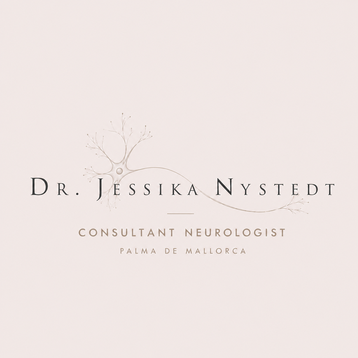 Why I started NeuroPalma and why I am now relaunching…