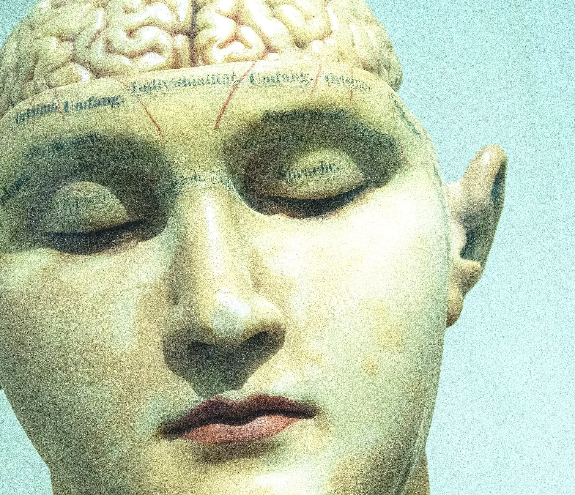 Máscara de rostro humano con cerebros y palabras en el centro, ojos cerrados y expresión tranquila.