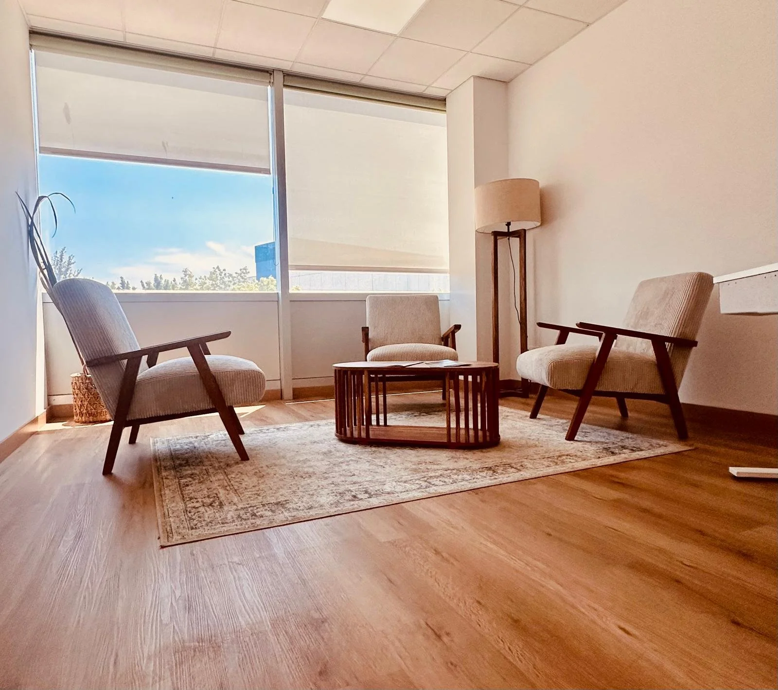 Consultation room, office, Clinic Dr Jessika Nystedt