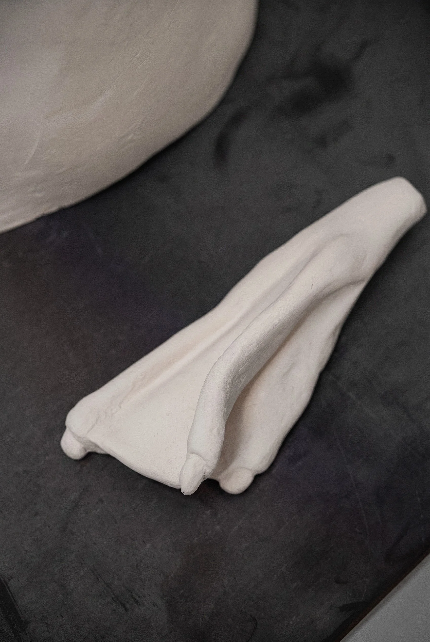 Swan Roast (details), 2026. Porcelain and steel, 20 x 12 x 16 in