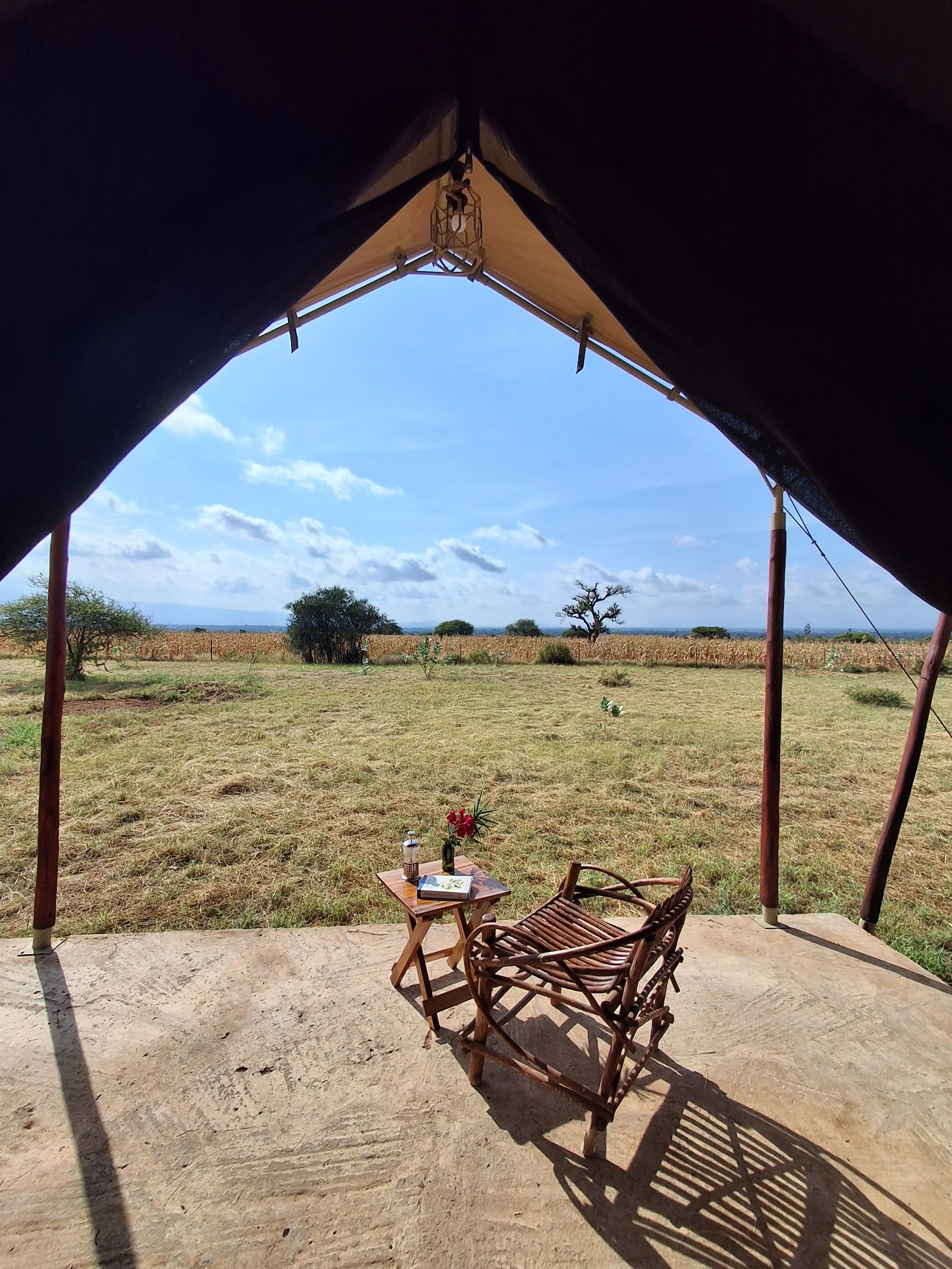 View from under a canopy overlooking a grassy plain at Njiani River Camp with sparse trees,  and two wooden chairs casting shadows on the ground.