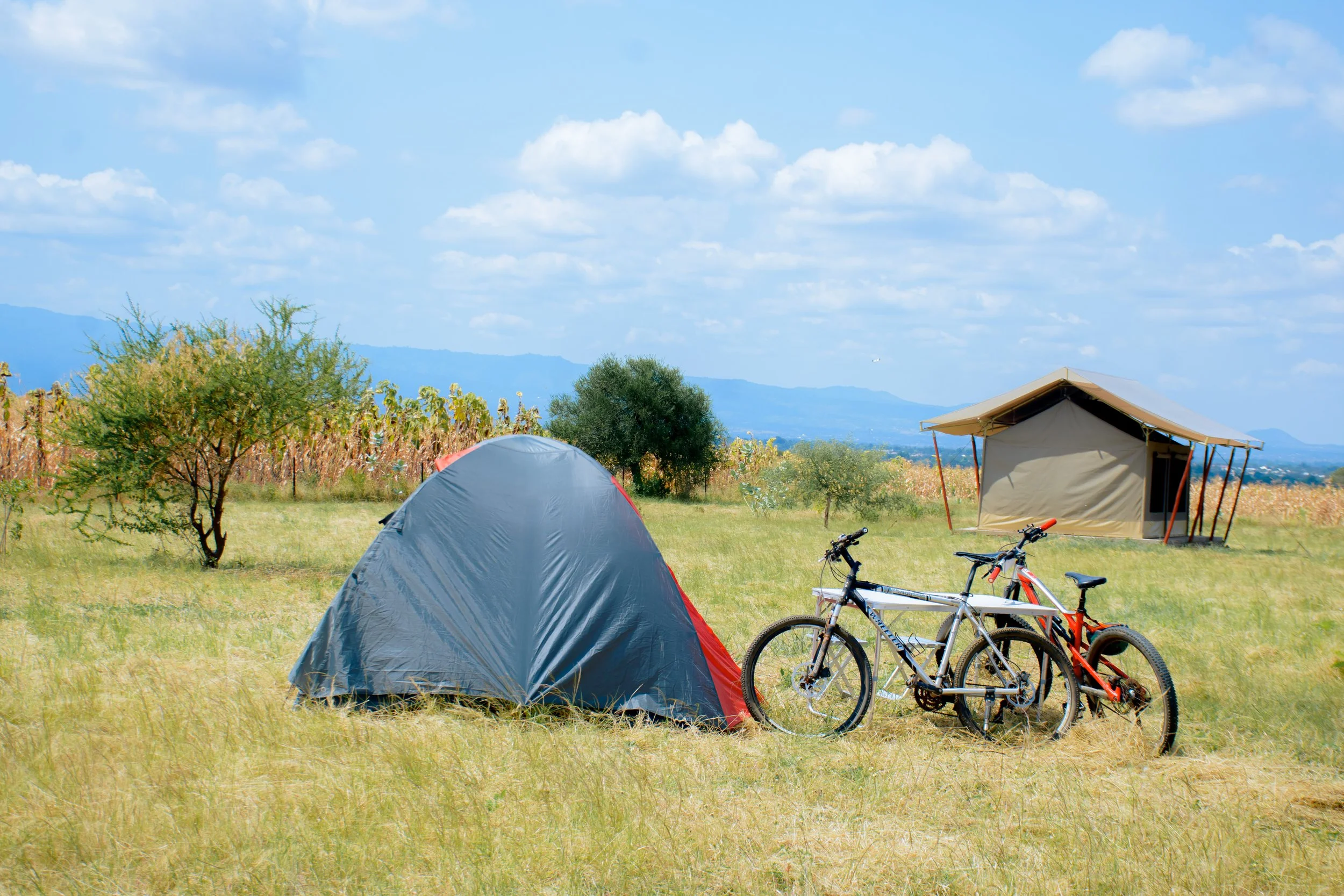 A camping scene with tents, bicycles, and a tent on grassy field under blue sky with clouds, trees, and Kilimanjaro in background.