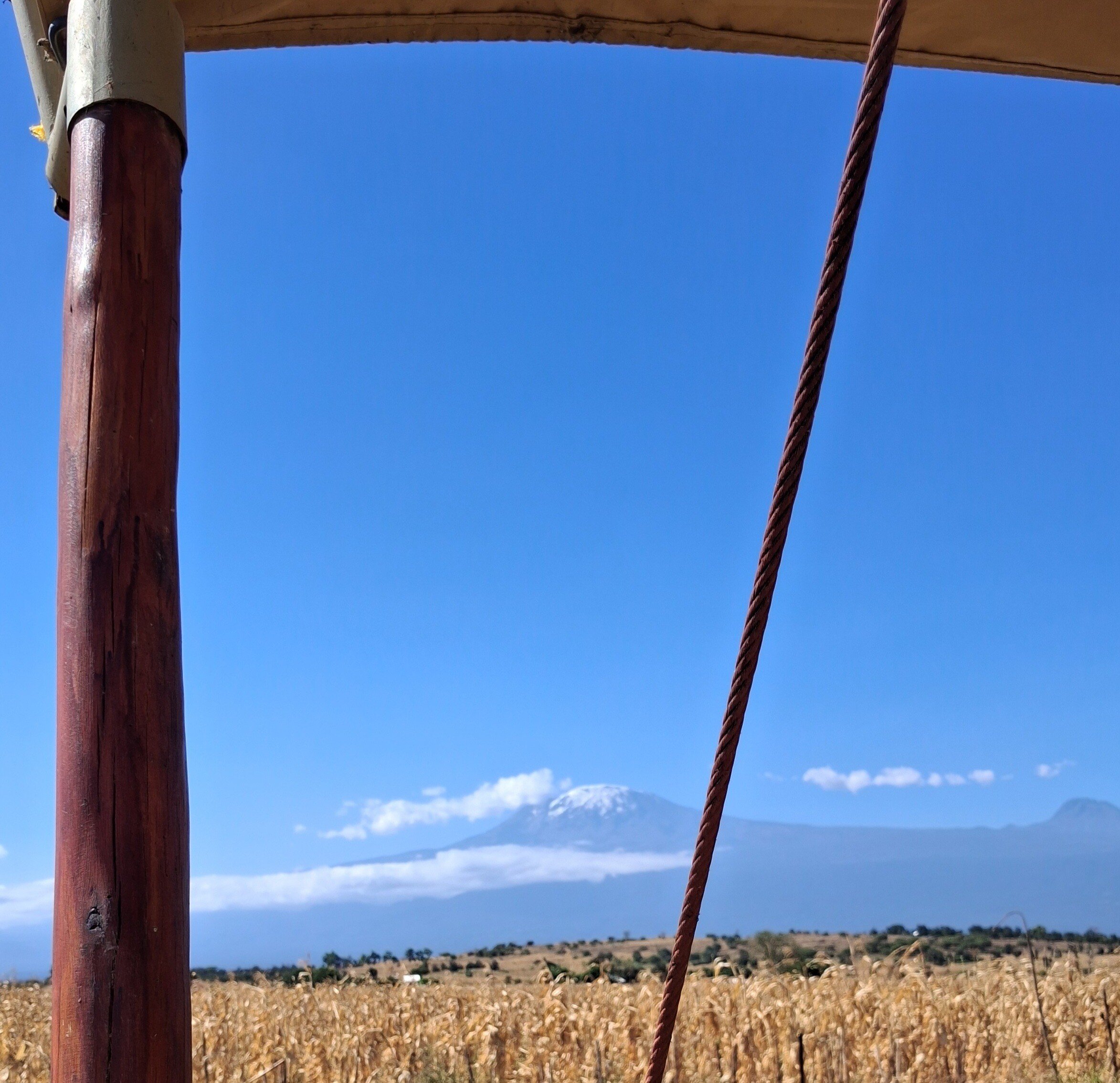 NRC Kili View from Tent.jpg