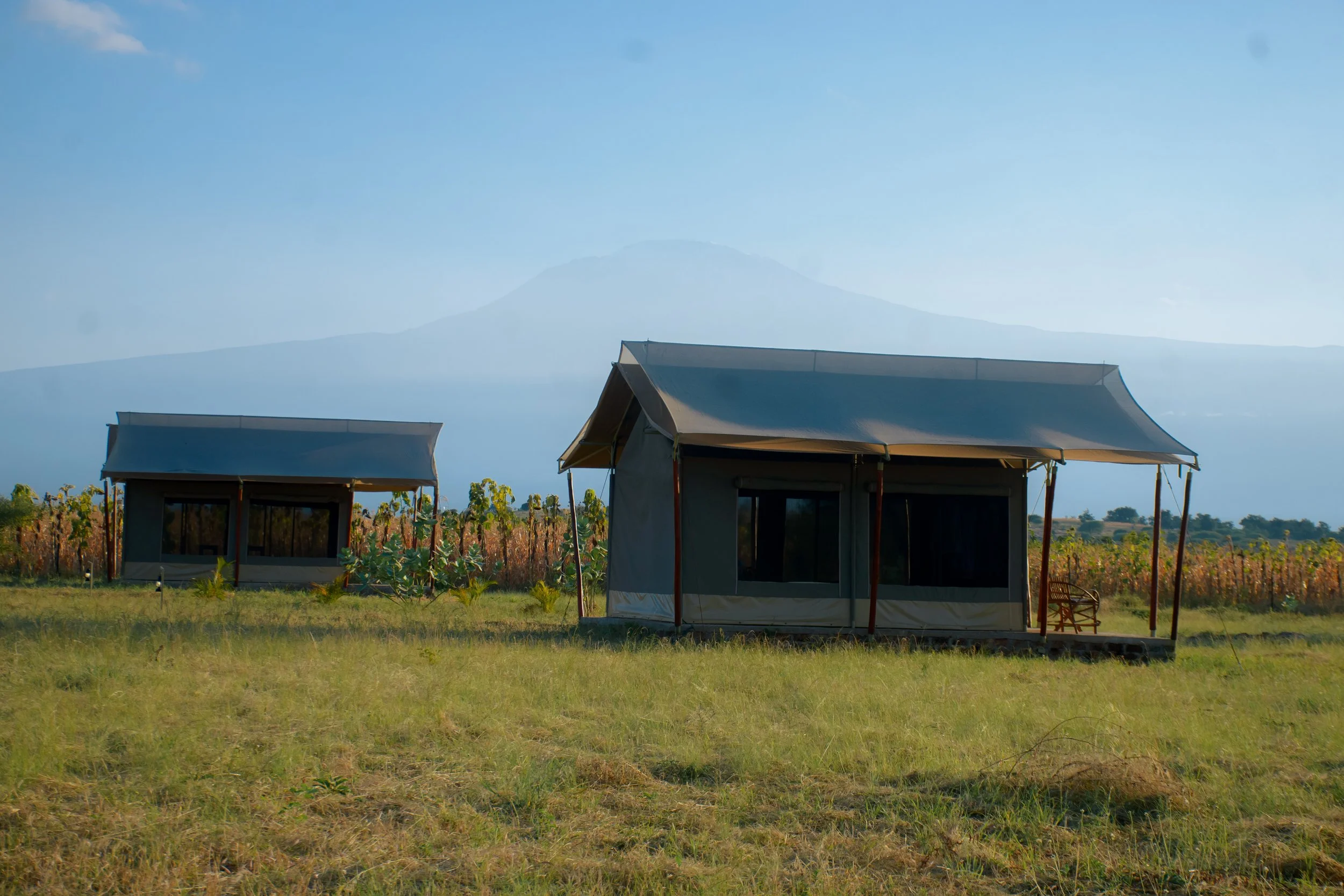 A grassy field with three tents or gazebos, blue sky and Kilimanjaro backdrop