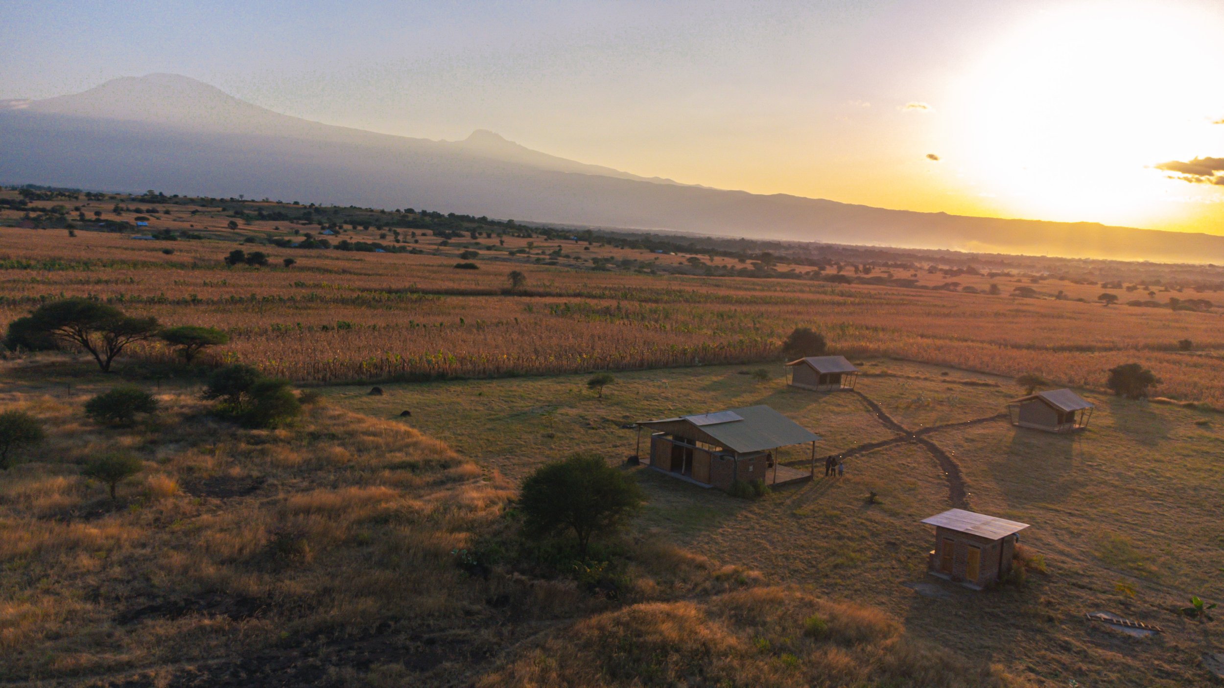 A rural landscape close to Moshi during sunset with small wooden houses, fields, scattered trees, and a distant mountain with a misty appearance.