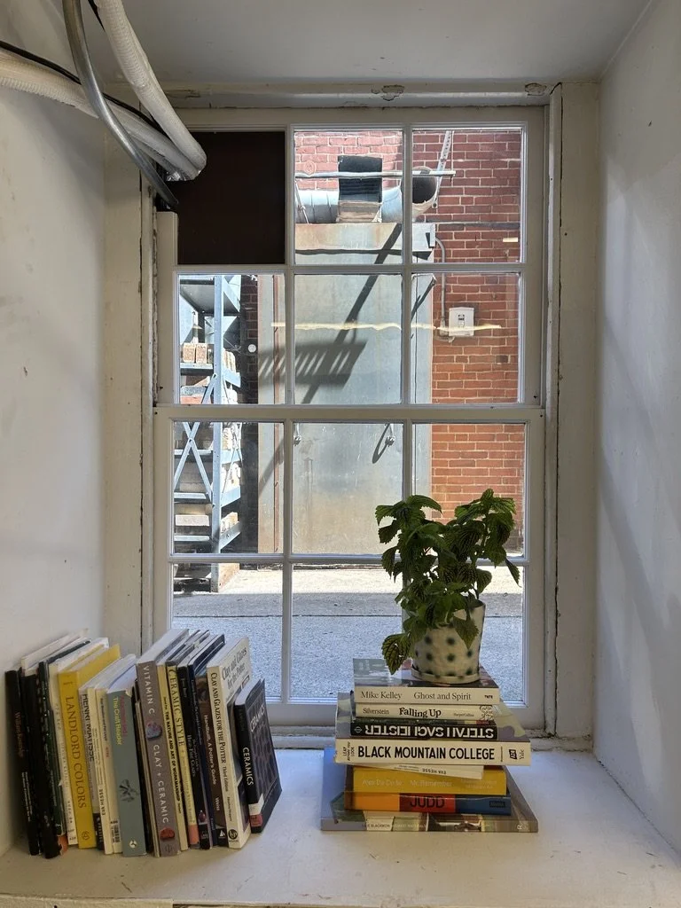 Books and a potted plant on a windowsill with a view of an industrial air conditioning unit outside the window.