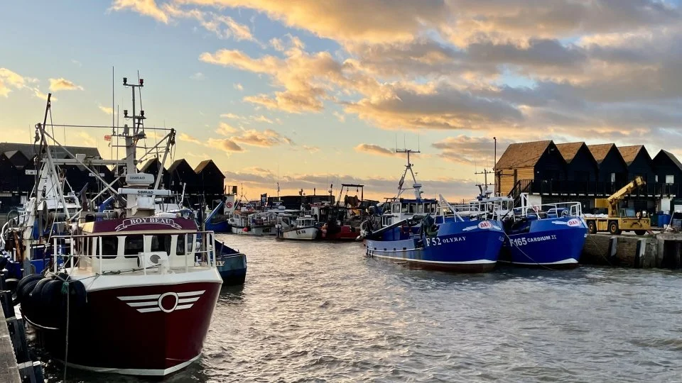 Boats docked at a harbor during sunset with houses and cloudy sky in the background.