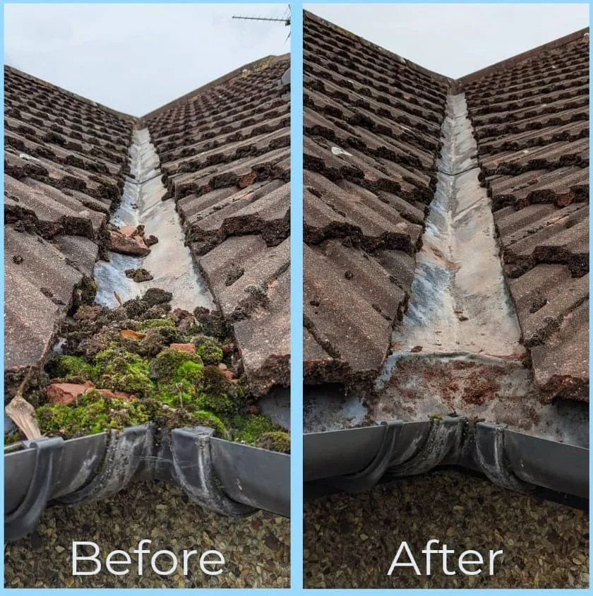 befoe after gutter cleaning.jpg