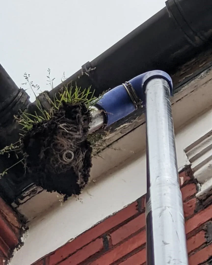 gutter cleaning wast in pole.jpg