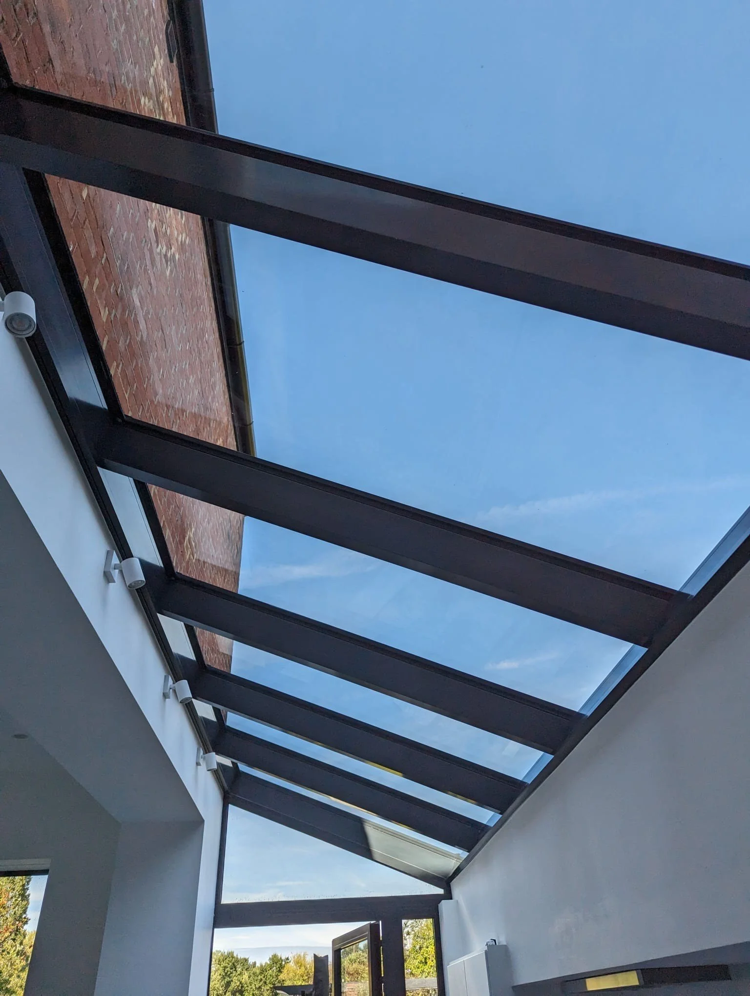 skylight portrait.jpg