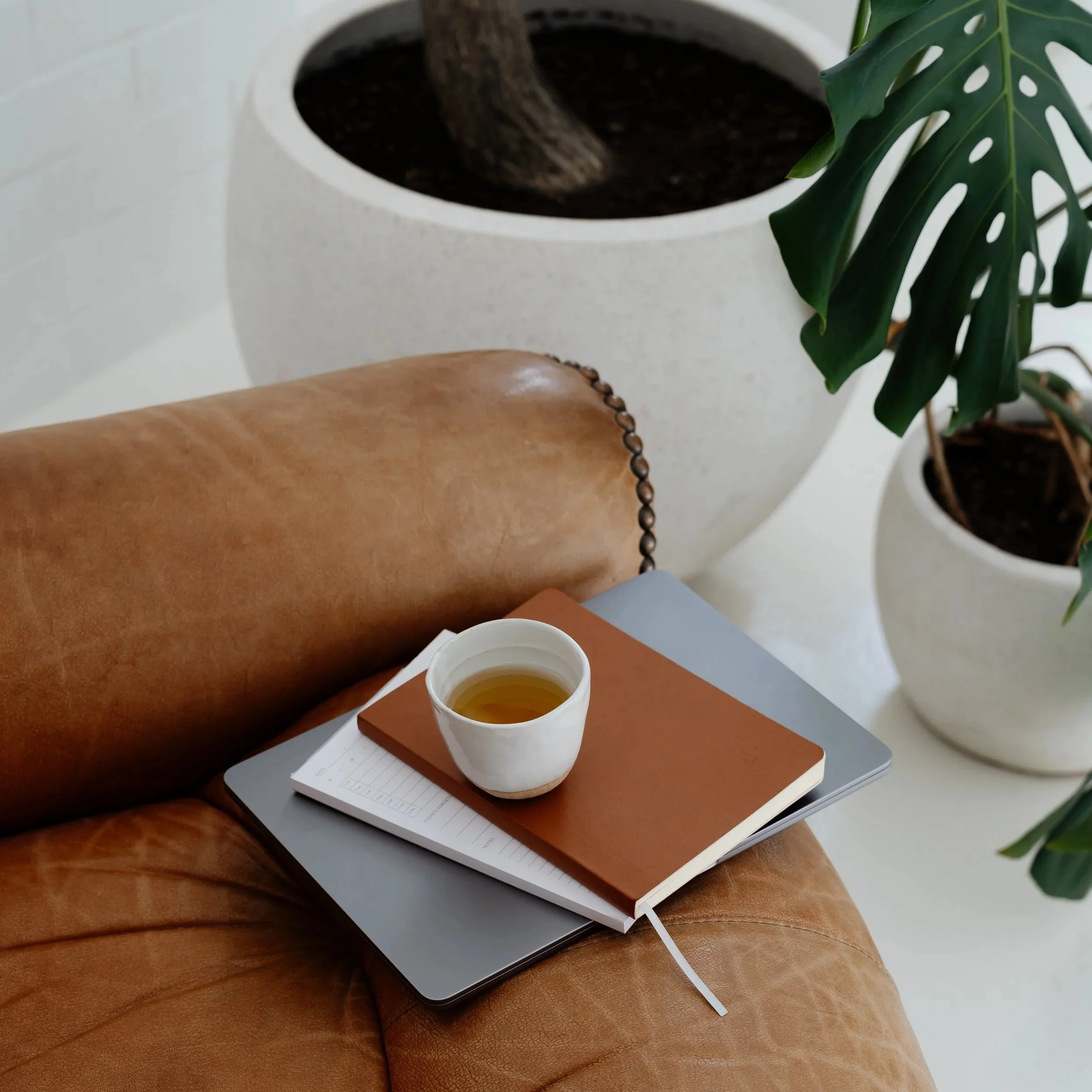 A person with brown skin wearing a short-sleeved shirt is sitting on a tan leather chair. On their lap, there is a silver laptop, a white notepad, and a glass cup filled with a yellowish beverage. In the background, there are potted plants, including a large one with green, split leaves.