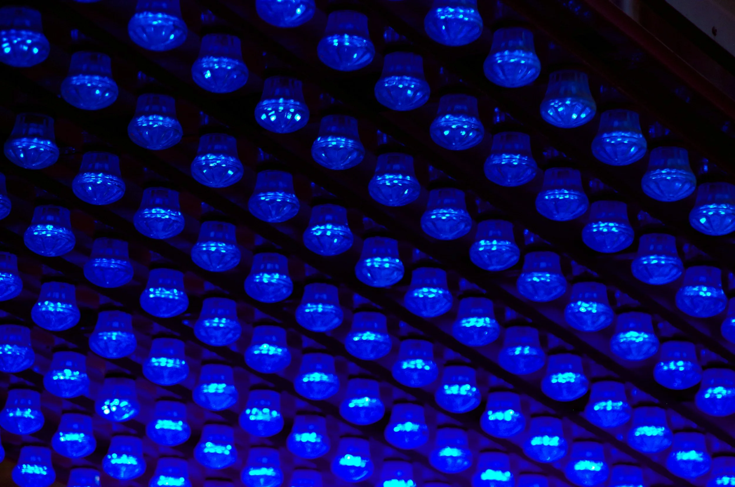 Multiple blue LED lights arranged in rows on a ceiling, creating a glowing pattern in a dark environment.