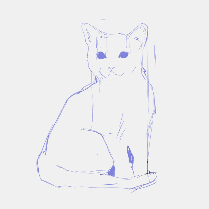 cat-sitting-timelapse02.gif