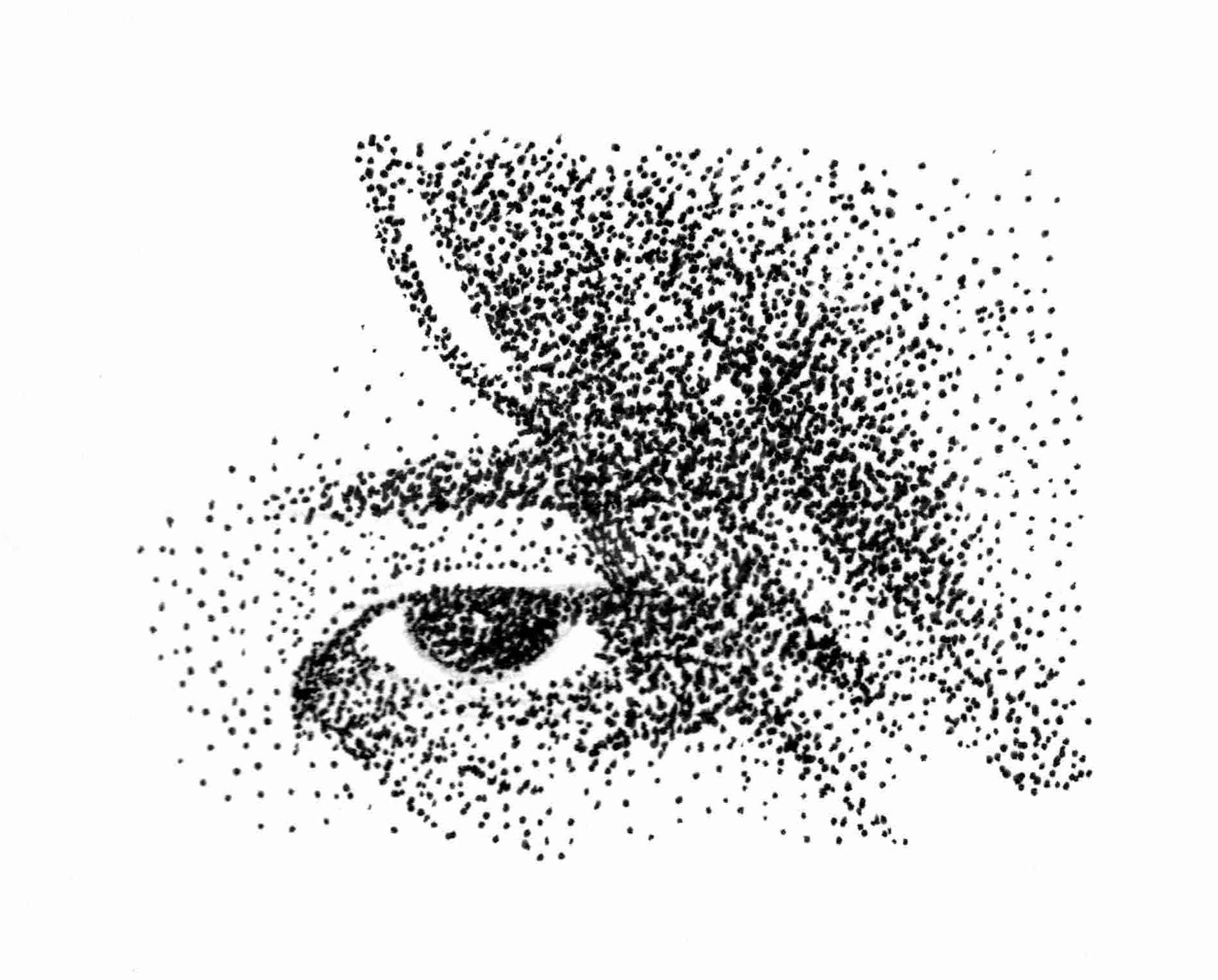 Stippling.png