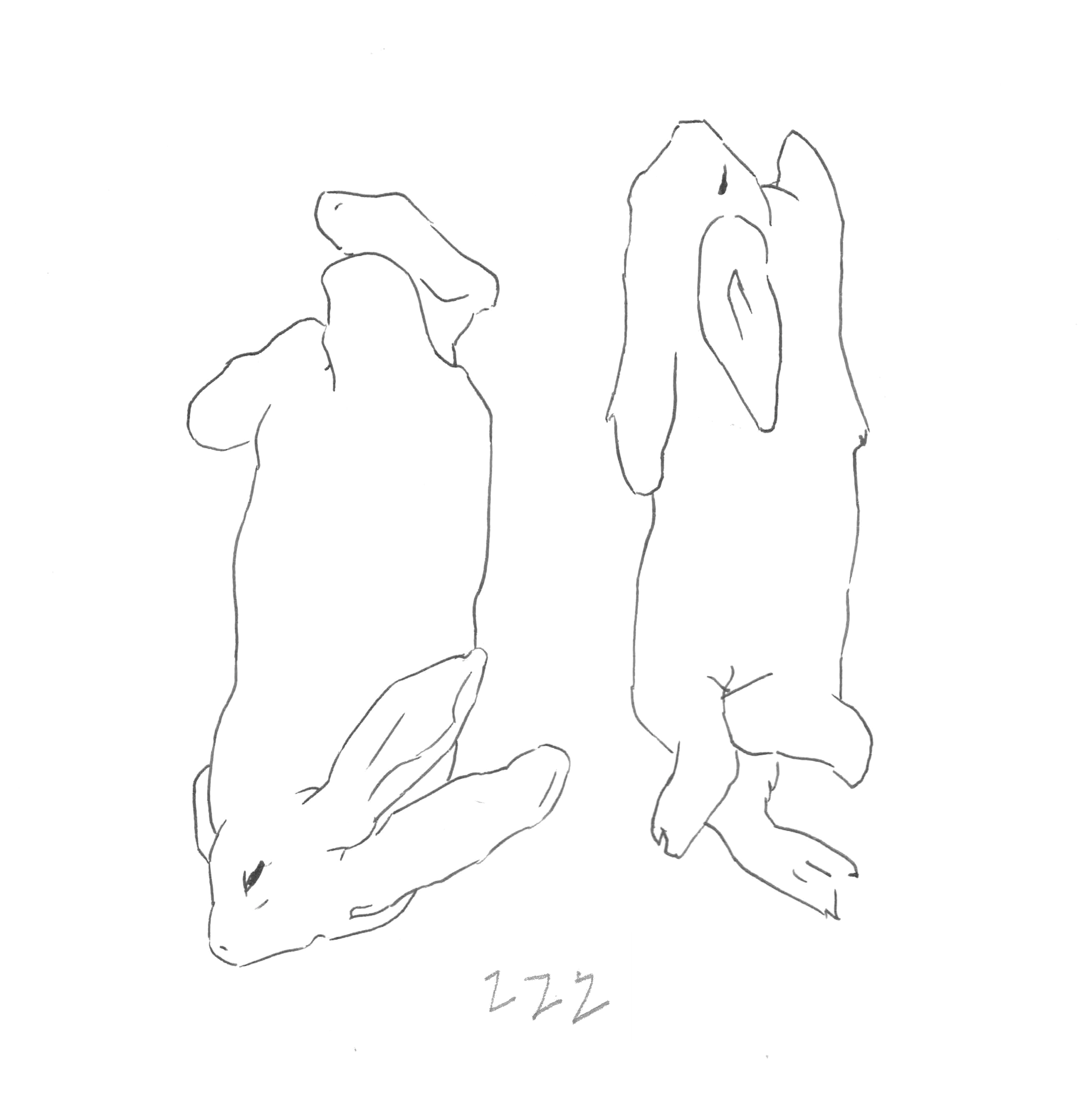 Bunny 2.png