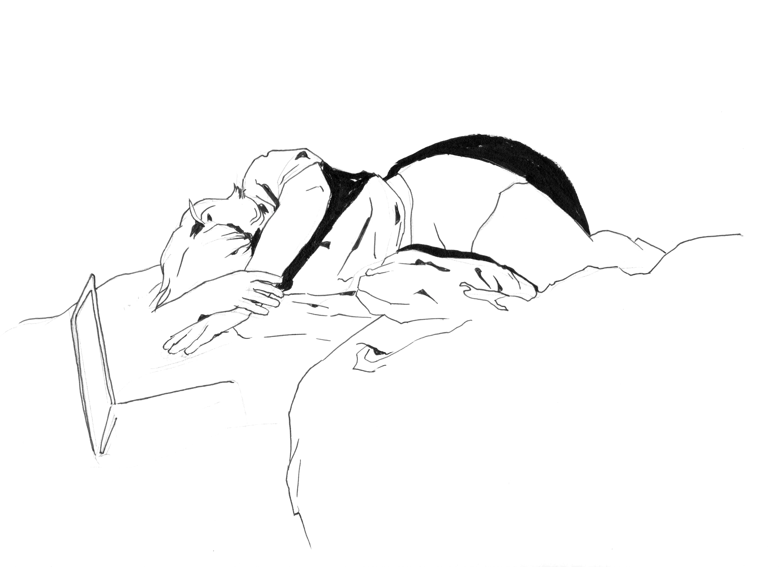 Swan Sketch.png